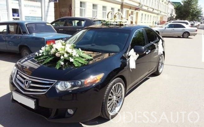 Аренда Honda Accord на свадьбу Одесса